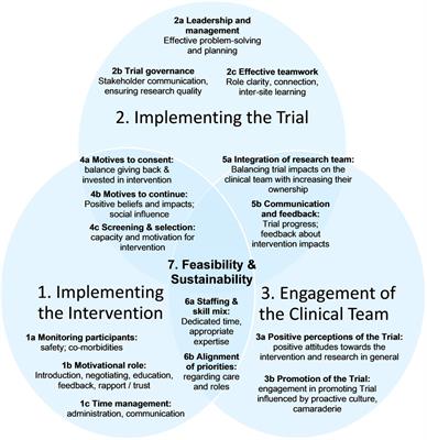 Feasibility of randomized controlled trials and long-term implementation of interventions: Insights from a qualitative process evaluation of the PEDAL trial